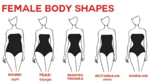 Body Types